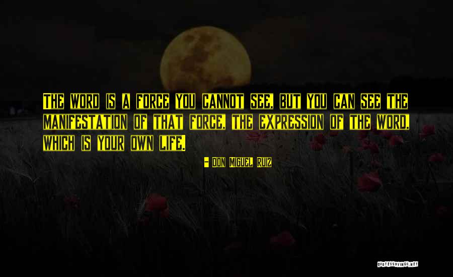 Pandorf Shopping Quotes By Don Miguel Ruiz Pandorf Shopping Quotes By Don Miguel Ruiz