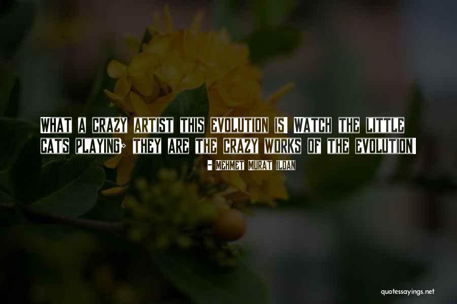 Paned Windows Quotes By Mehmet Murat Ildan Paned Windows Quotes By Mehmet Murat Ildan