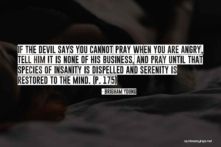 Panentheism Belief Quotes By Brigham Young Panentheism Belief Quotes By Brigham Young
