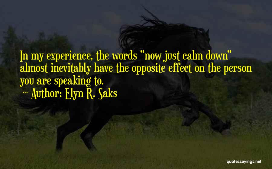 Panic Attacks Quotes By Elyn R. Saks