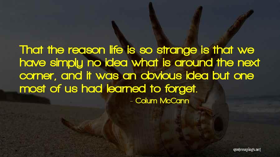 Panience Quotes By Colum McCann Panience Quotes By Colum McCann