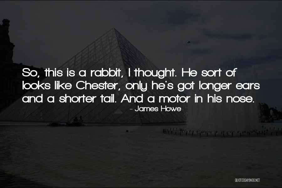 Panikos Priepuoliai Quotes By James Howe Panikos Priepuoliai Quotes By James Howe