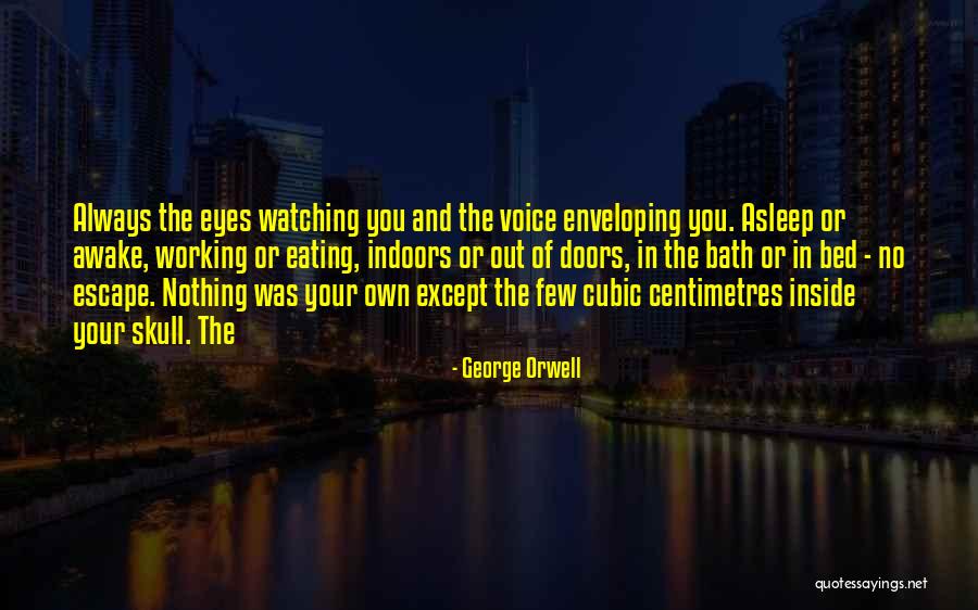 Panirani Quotes By George Orwell Panirani Quotes By George Orwell