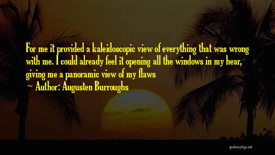 Panoramic Quotes By Augusten Burroughs