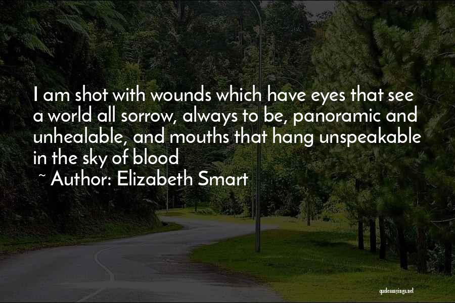 Panoramic Quotes By Elizabeth Smart