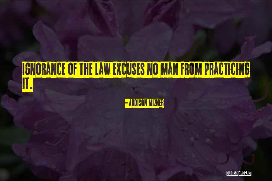 Panosian And The Providence Quotes By Addison Mizner Panosian And The Providence Quotes By Addison Mizner