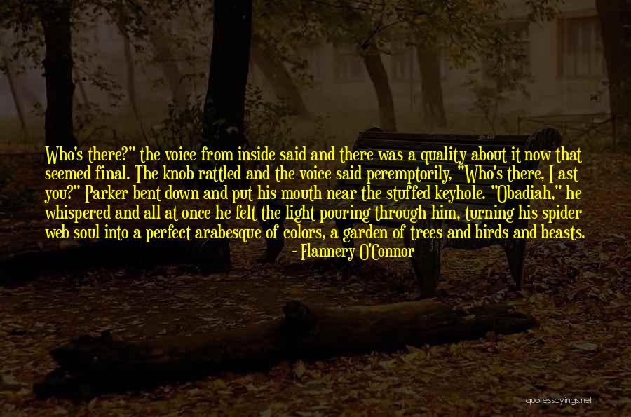Panova Flauta Quotes By Flannery O'Connor
