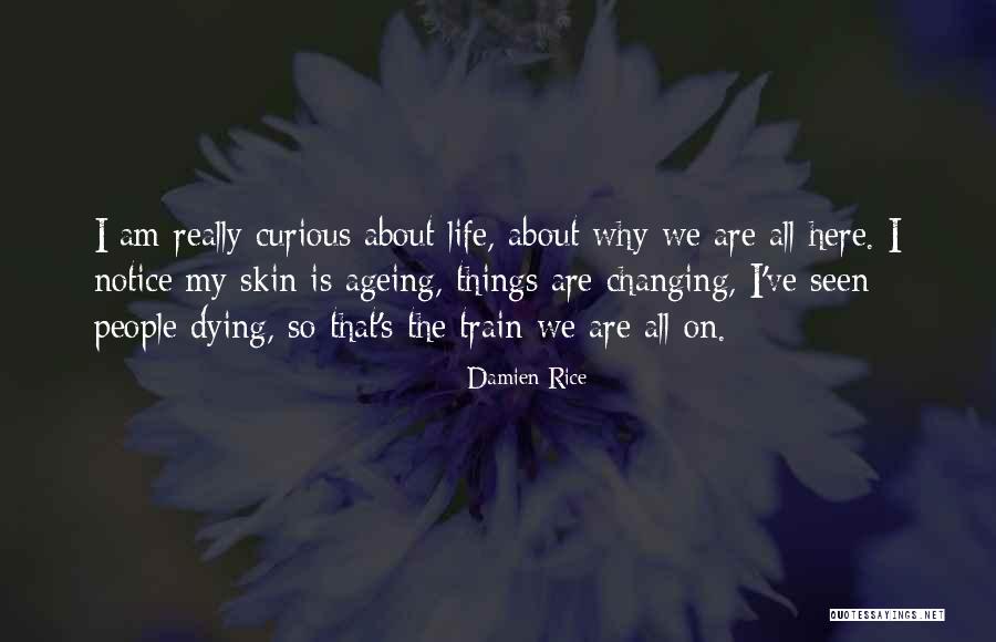 Panpipe Music Download Quotes By Damien Rice Panpipe Music Download Quotes By Damien Rice