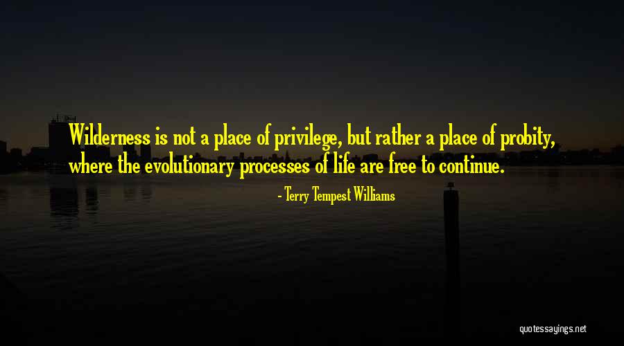 Pantaleon Villegas Quotes By Terry Tempest Williams Pantaleon Villegas Quotes By Terry Tempest Williams