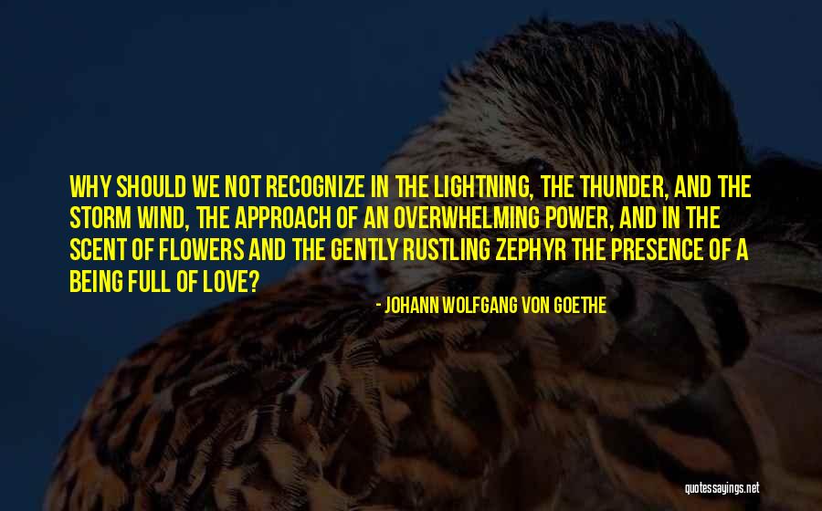 Pantani The Accidental Death Quotes By Johann Wolfgang Von Goethe Pantani The Accidental Death Quotes By Johann Wolfgang Von Goethe