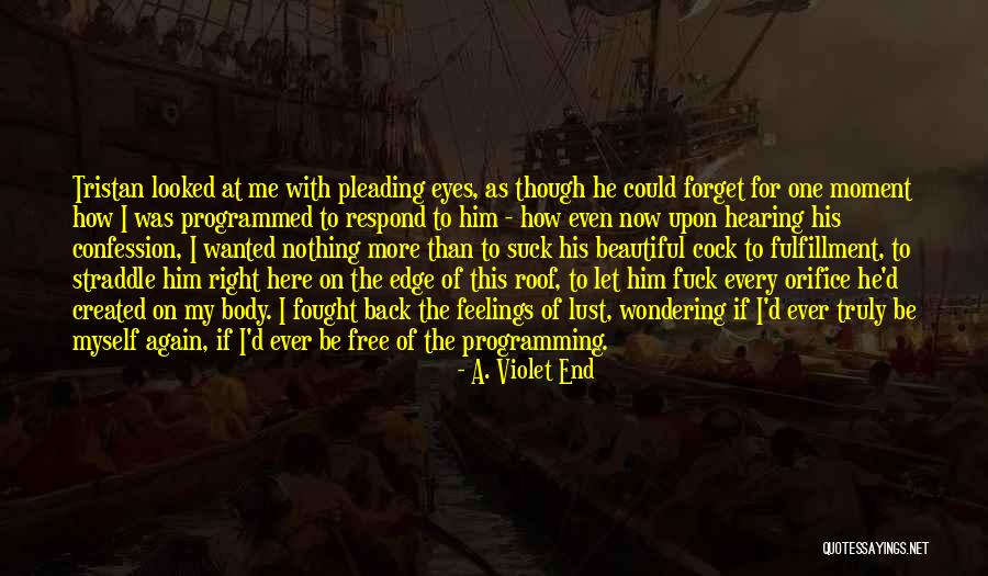 Pantanos In English Quotes By A. Violet End Pantanos In English Quotes By A. Violet End