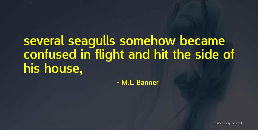 Pantas Quotes By M.L. Banner Pantas Quotes By M.L. Banner