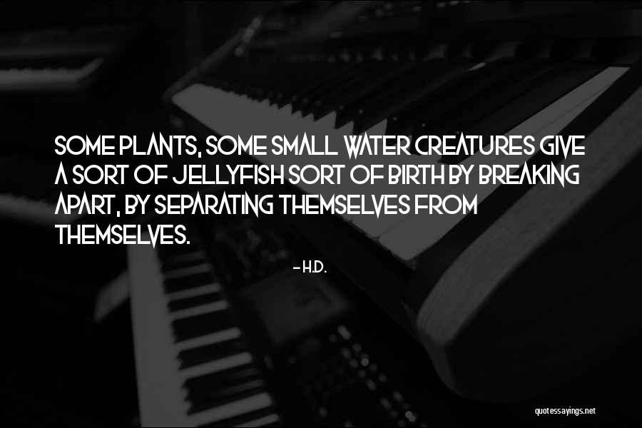 Pantastico Bed Quotes By H.D. Pantastico Bed Quotes By H.D.