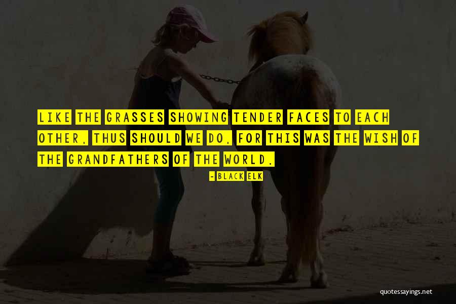 Pantat Gede Quotes By Black Elk Pantat Gede Quotes By Black Elk