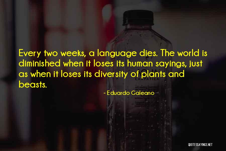 Pantechnicon London Quotes By Eduardo Galeano Pantechnicon London Quotes By Eduardo Galeano