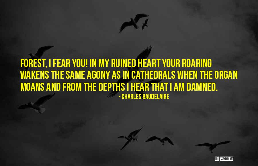 Panther Caroso Quotes By Charles Baudelaire Panther Caroso Quotes By Charles Baudelaire