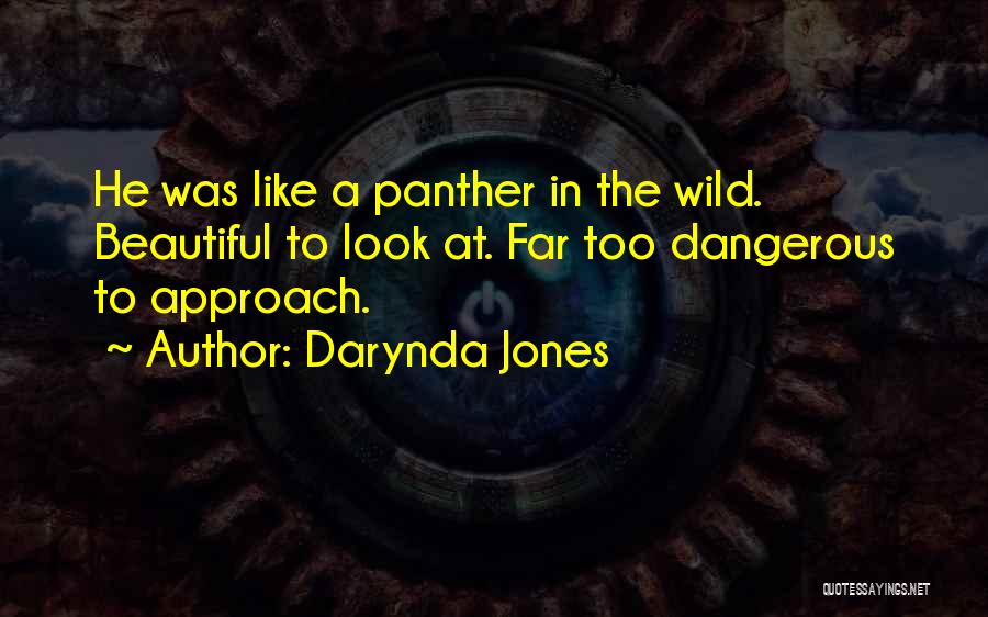 Panther Quotes By Darynda Jones