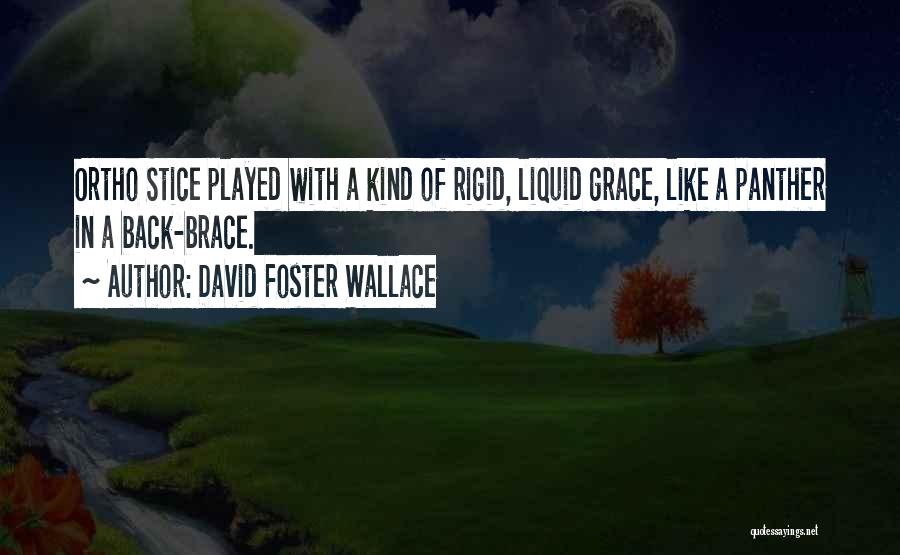 Panther Quotes By David Foster Wallace