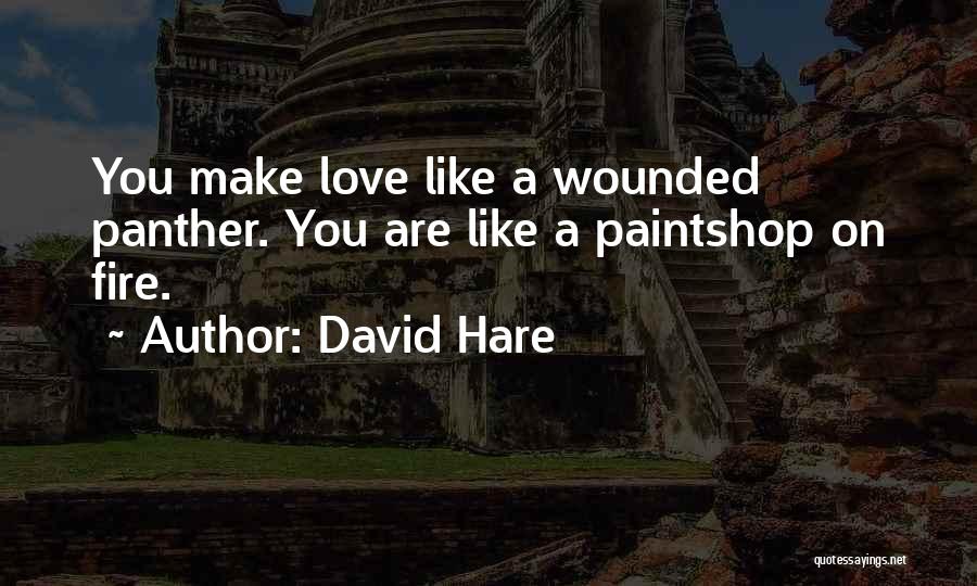 Panther Quotes By David Hare