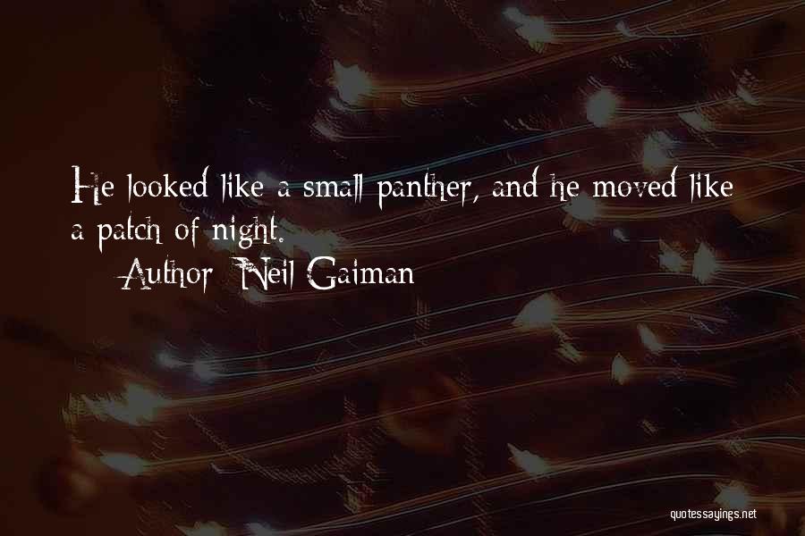 Panther Quotes By Neil Gaiman