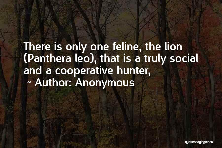 Panthera Quotes By Anonymous