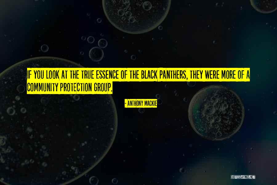 Panthers Quotes By Anthony Mackie Panthers Quotes By Anthony Mackie