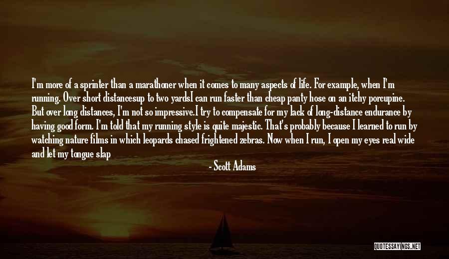 Panty With Quotes By Scott Adams Panty With Quotes By Scott Adams