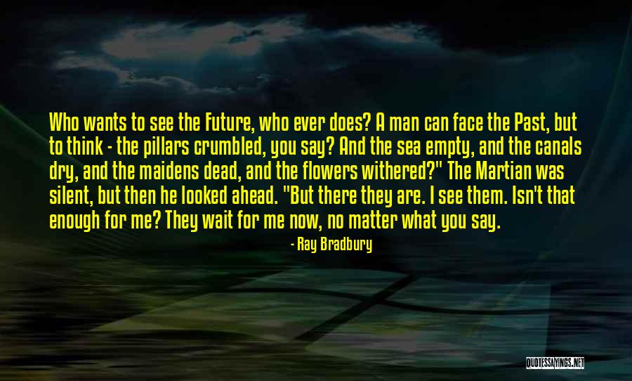 Pantyhose Model Quotes By Ray Bradbury Pantyhose Model Quotes By Ray Bradbury