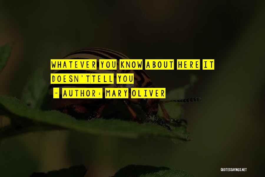 Panu Ka Vladim R Quotes By Mary Oliver