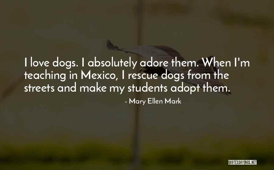 Panufnik Andrzej Quotes By Mary Ellen Mark Panufnik Andrzej Quotes By Mary Ellen Mark