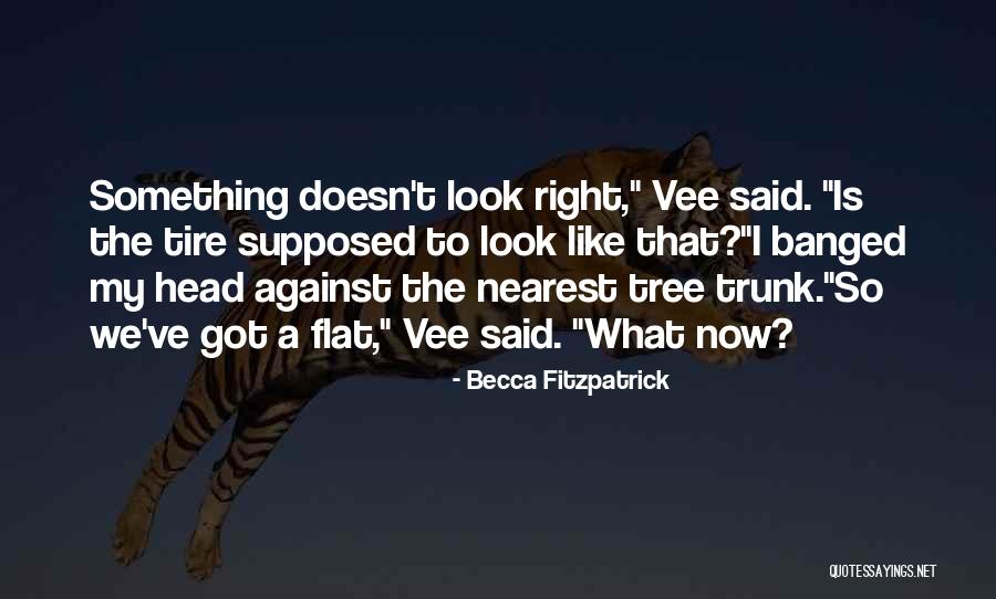 Panular Quotes By Becca Fitzpatrick Panular Quotes By Becca Fitzpatrick