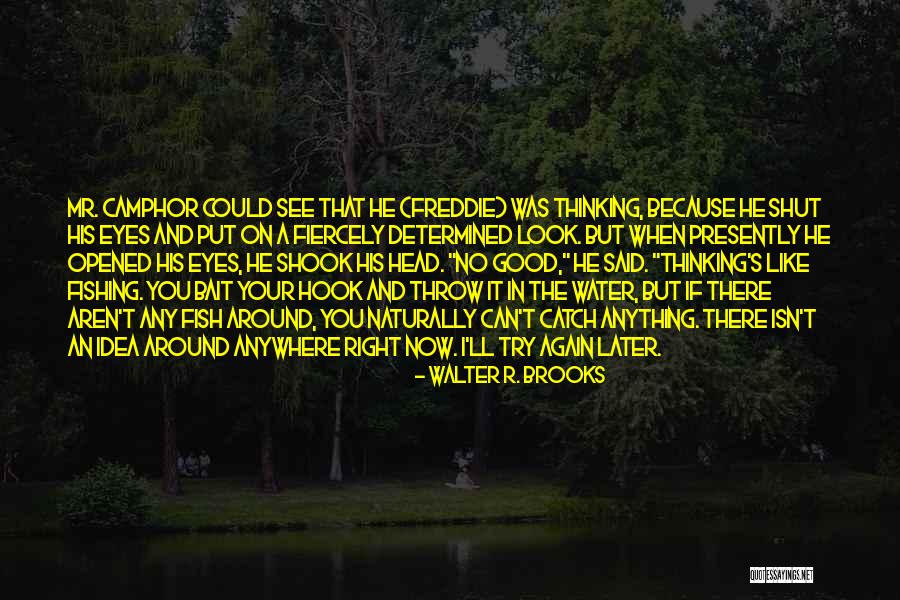Panum Crater Quotes By Walter R. Brooks Panum Crater Quotes By Walter R. Brooks