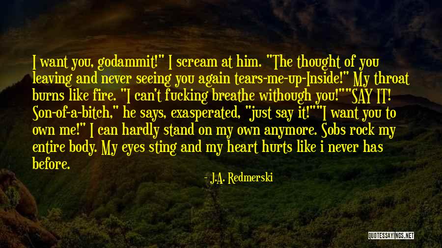 Panuse De Porumb Quotes By J.A. Redmerski Panuse De Porumb Quotes By J.A. Redmerski