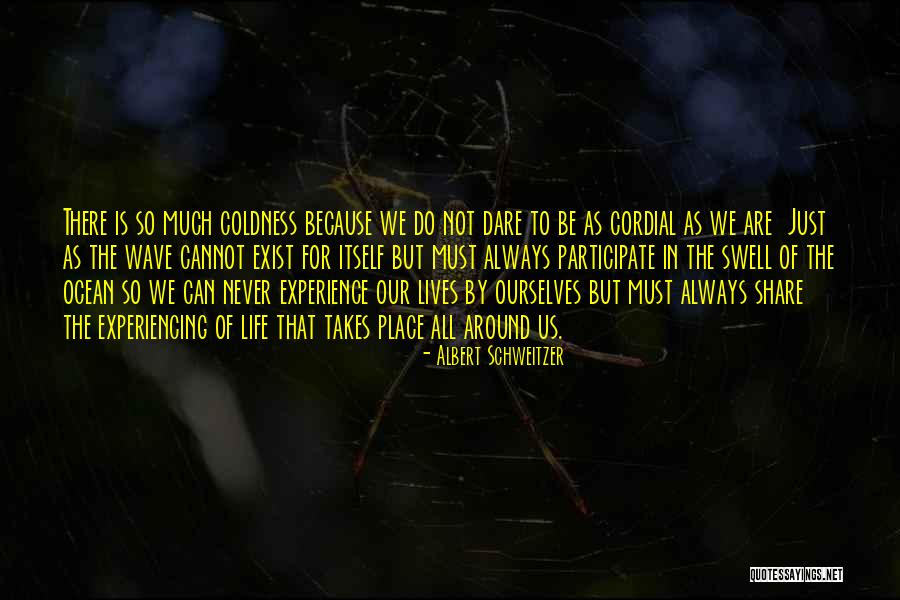 Panwas Toraja Quotes By Albert Schweitzer Panwas Toraja Quotes By Albert Schweitzer