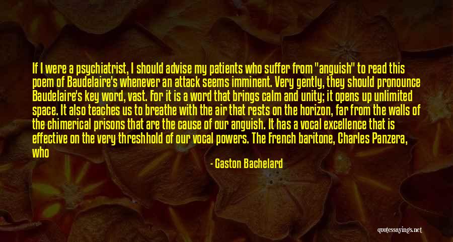 Panzera Quotes By Gaston Bachelard Panzera Quotes By Gaston Bachelard