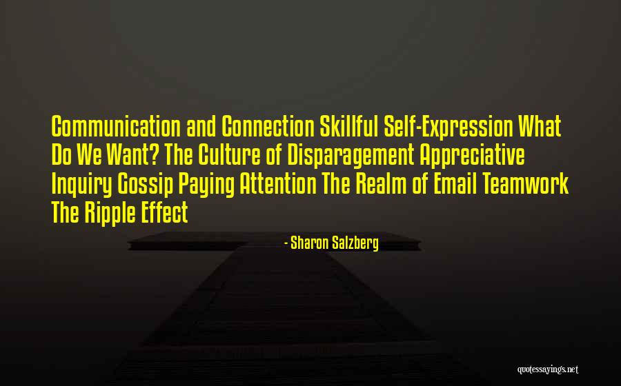 Panzera Quotes By Sharon Salzberg Panzera Quotes By Sharon Salzberg