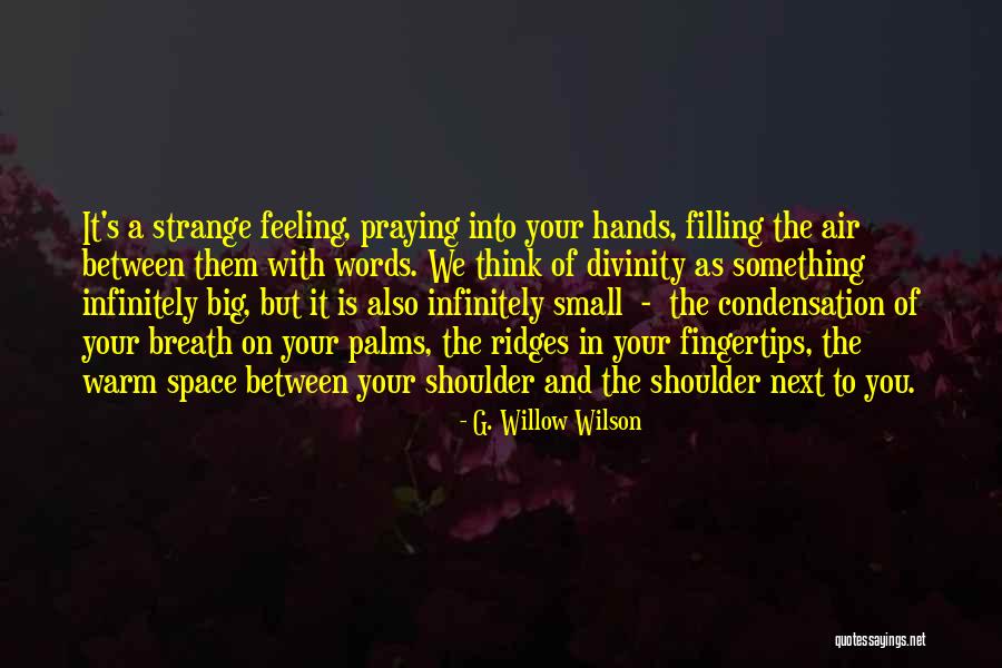 Panzerlied Quotes By G. Willow Wilson Panzerlied Quotes By G. Willow Wilson