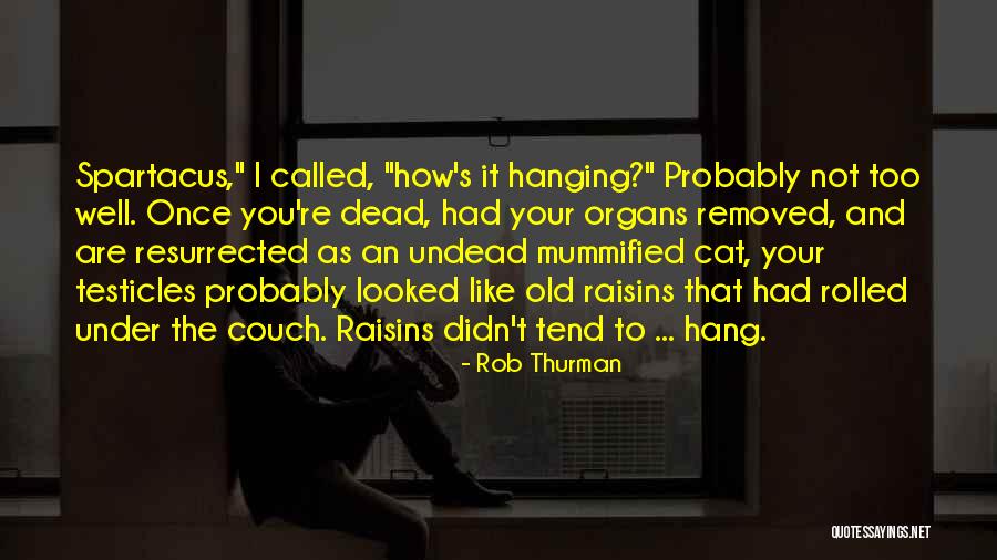 Paoletta Magoni Quotes By Rob Thurman Paoletta Magoni Quotes By Rob Thurman
