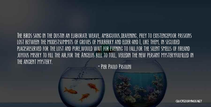 Paolo Pasolini Quotes By Pier Paolo Pasolini