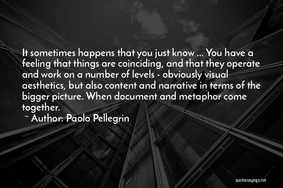 Paolo Pellegrin Quotes 675919