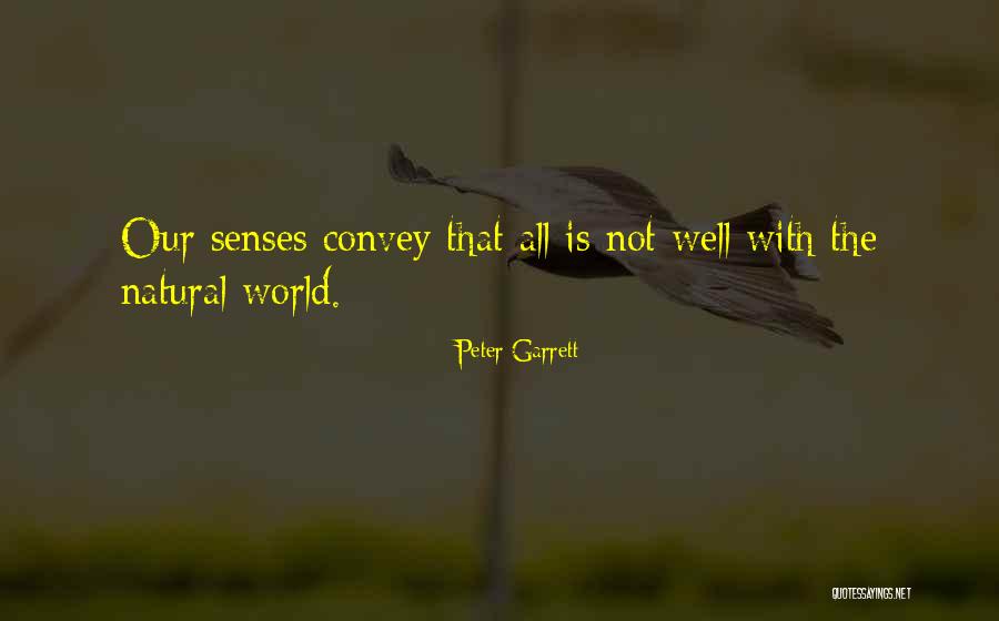 Paolocannone Quotes By Peter Garrett Paolocannone Quotes By Peter Garrett