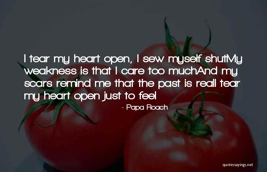 Papa Roach Quotes 1813041 Papa Roach Quotes 1813041