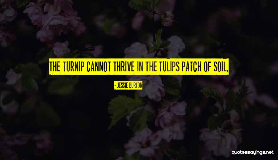 Papadeli Bristol Quotes By Jessie Burton