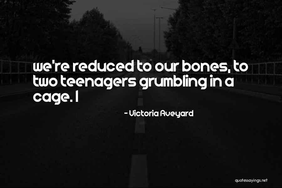 Papadopol Titieni Quotes By Victoria Aveyard Papadopol Titieni Quotes By Victoria Aveyard