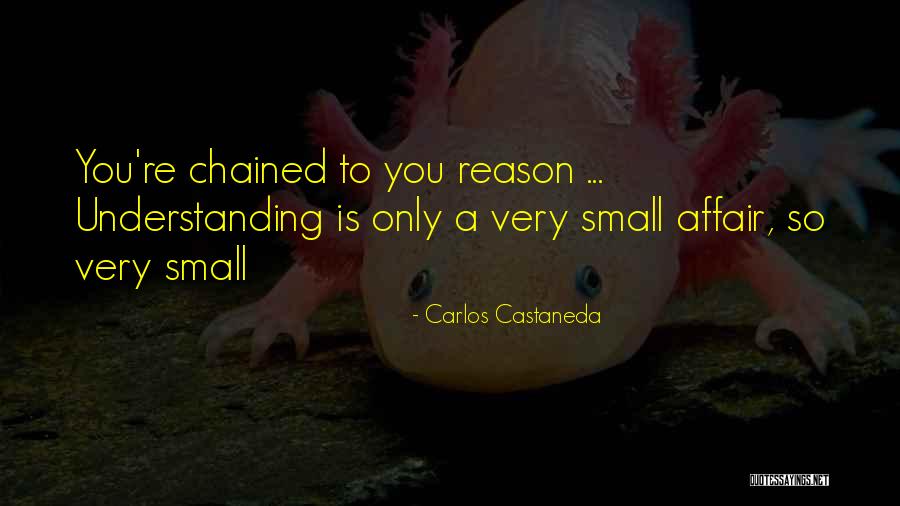 Papadum Indian Quotes By Carlos Castaneda Papadum Indian Quotes By Carlos Castaneda