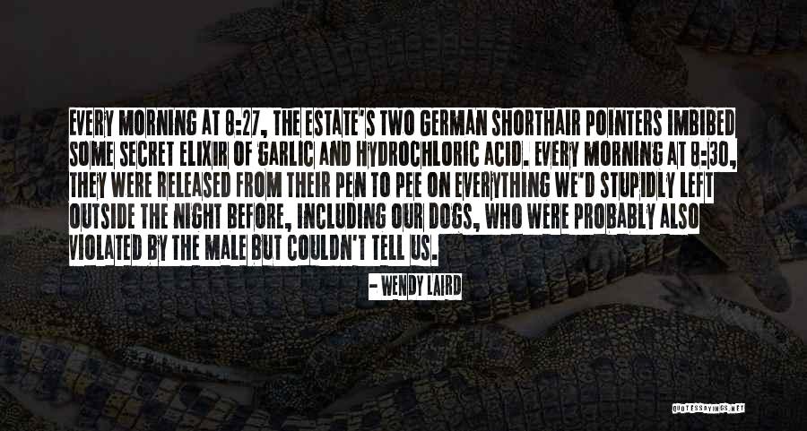 Papagalii Quotes By Wendy Laird Papagalii Quotes By Wendy Laird