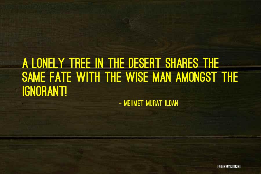 Papailias Distributors Quotes By Mehmet Murat Ildan Papailias Distributors Quotes By Mehmet Murat Ildan