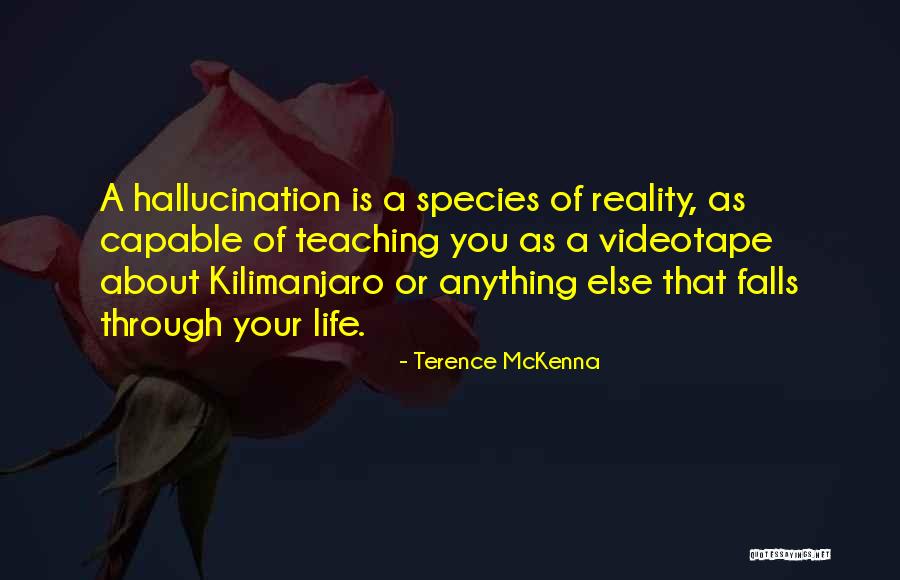 Papanicolas Dentist Quotes By Terence McKenna Papanicolas Dentist Quotes By Terence McKenna