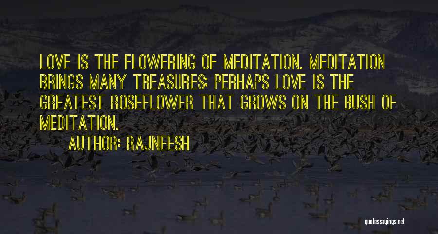 Paparelli And Partners Quotes By Rajneesh