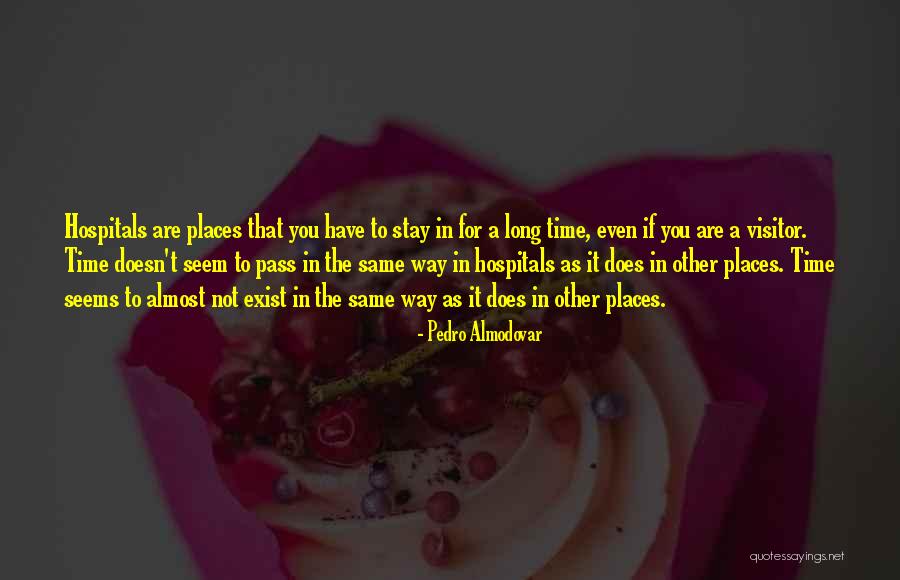 Papathanassiou Vangelis Quotes By Pedro Almodovar